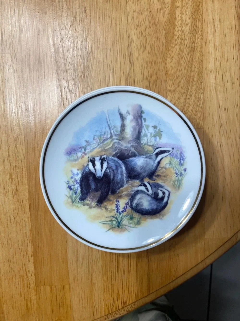 Reader’s Digest Wildlife of Britain Plate Set (4) – Susan Beresford, 15 cm